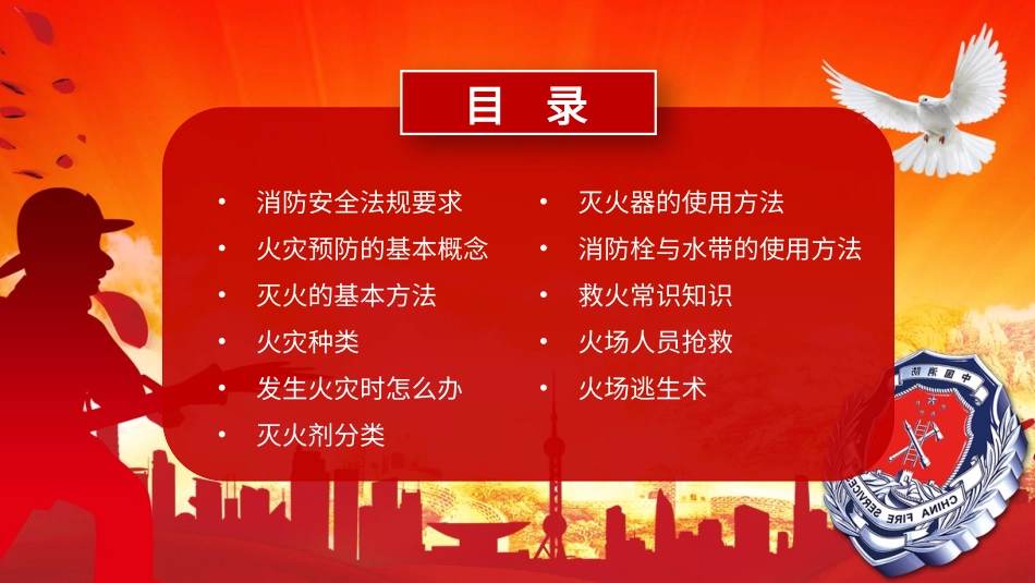 消防安全知识普及PPT.pptx_第2页