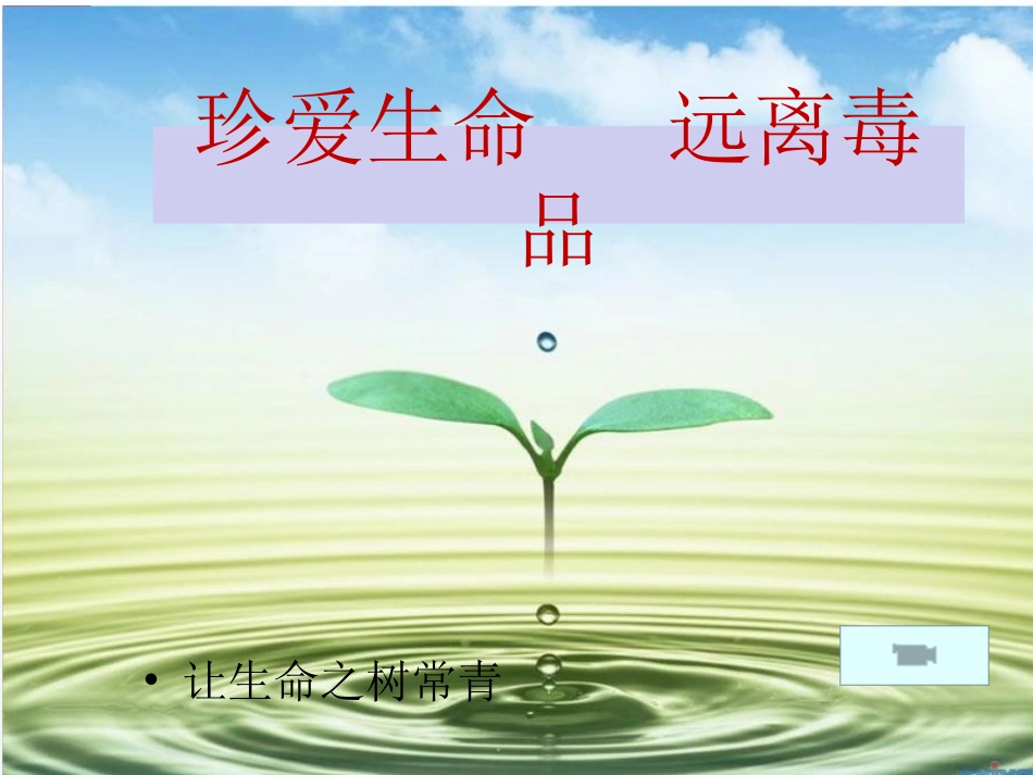 小学主题班会.社《珍爱生命 远离du品》石老师【市级】优质课(1).ppt_第1页