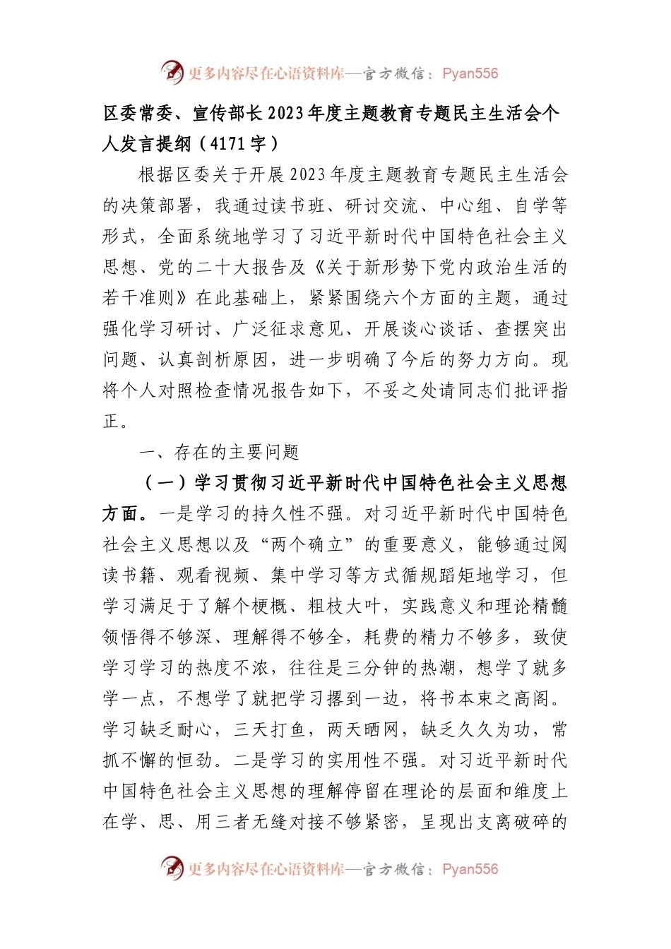 2023年主题教育民主生活会个人对照检查材料 宣传部长（践行宗旨等6个方面）.docx_第1页