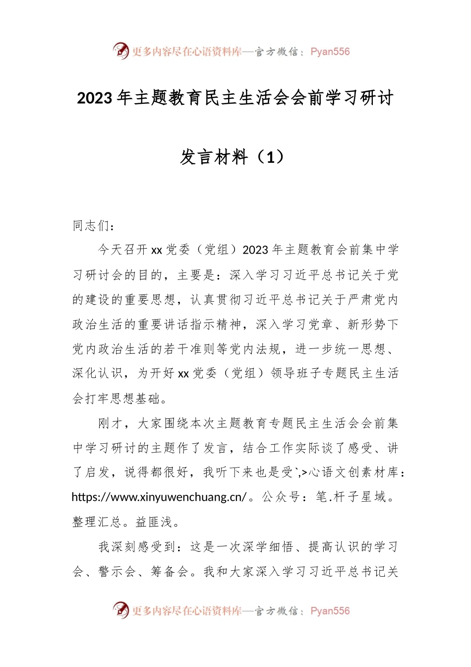2023年主题教育民主生活会会前学习研讨发言稿材料（1）.docx_第1页