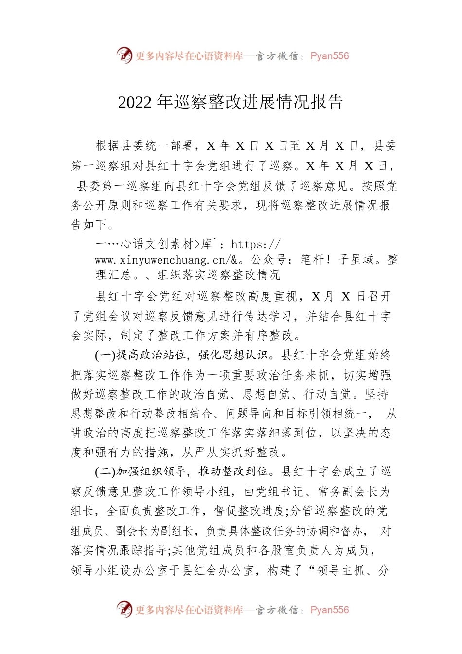 2022年巡察整改进展情况报告.docx_第1页