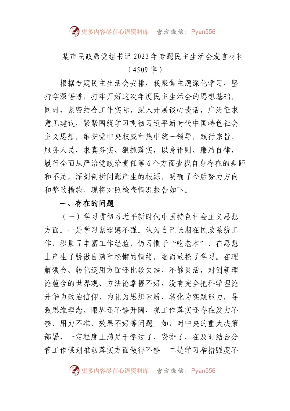 2023年主题教育专题民主生活会个人对照检查  民政（践行宗旨等6个方面+案例剖析+上年度整改+个人事项）(1).docx_第1页