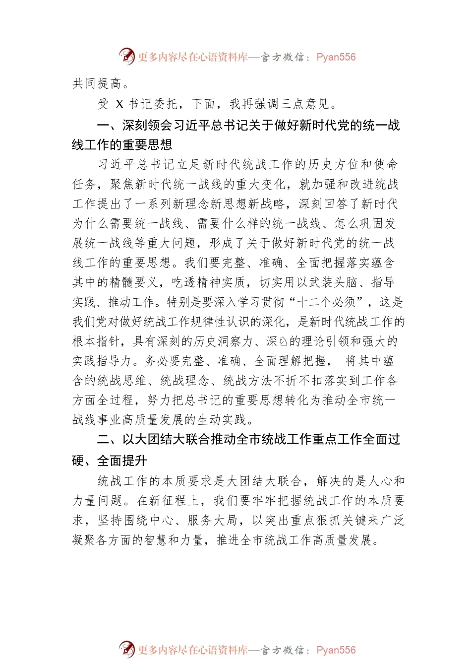2023年在市委统战工作会议上的讲话提纲.docx_第2页