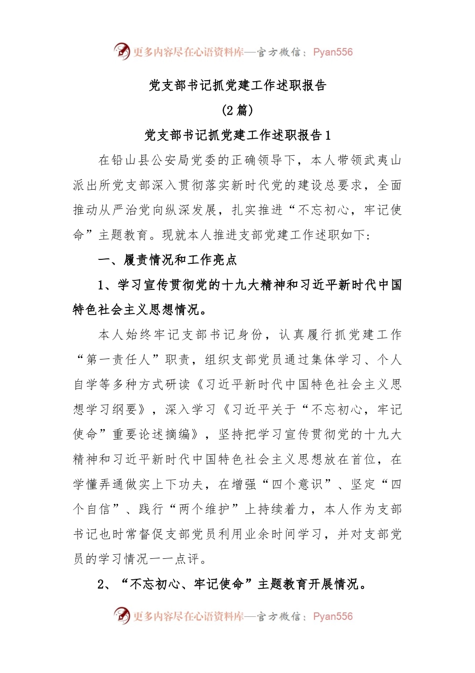 (2篇)党支部书记抓党建工作述职报告.docx_第1页