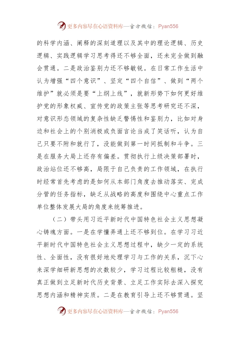 2022年度部门副职专题民主生活会对照检查材料.docx_第2页