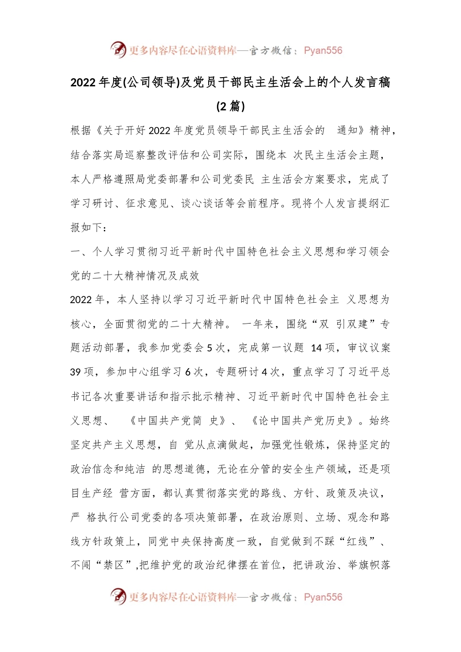 (2篇)2022年度(公司领导)及党员干部民主生活会上的个人发言稿.docx_第1页