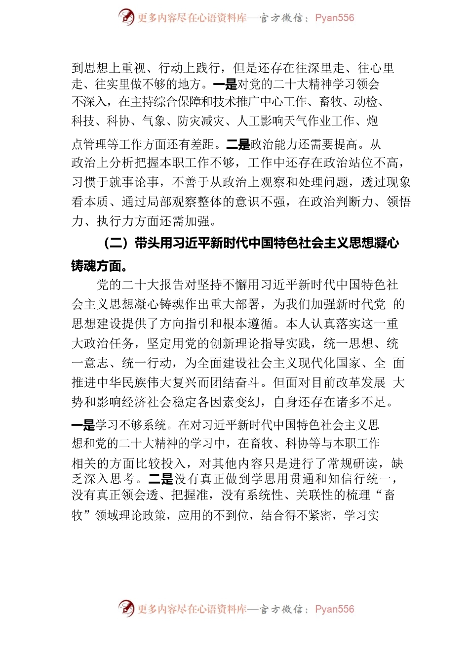 2023年个人对照检查材料（乡综合保障和技术推广中心主任）.docx_第2页