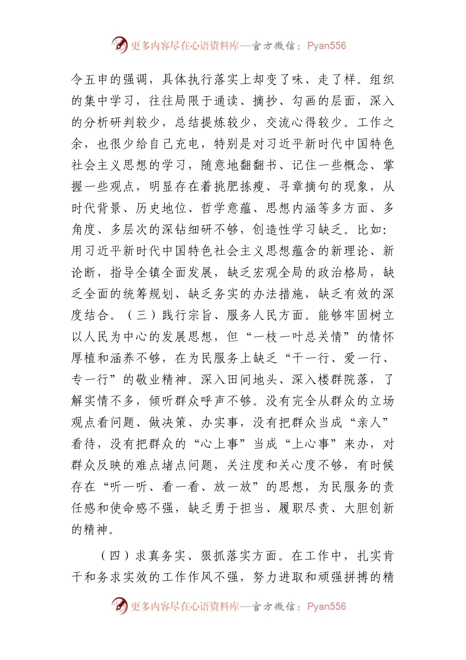 2023年主题教育专题民主生活会个人对照检查  乡镇书记（践行宗旨等6个方面+案例剖析+上年度整改+个人事项）(1).docx_第2页