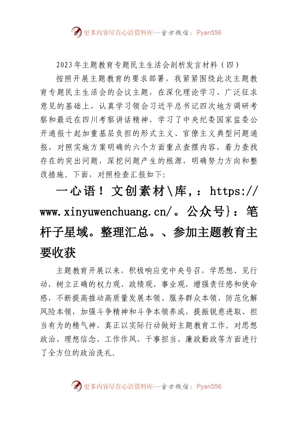 2023年主题教育专题民主生活会剖析发言材料（四）.docx_第1页