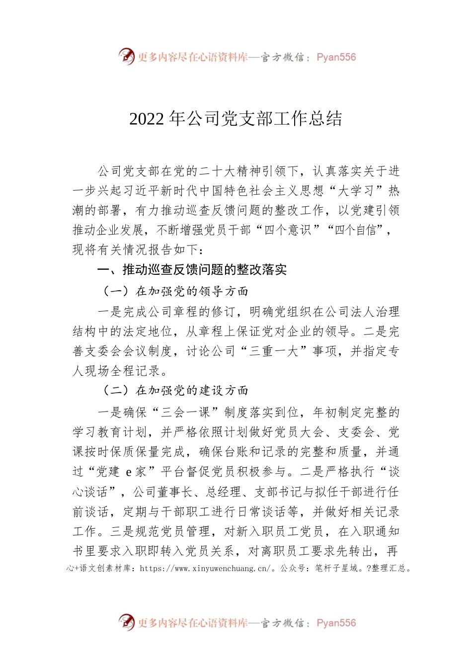2022年公司党支部工作总结.docx_第1页