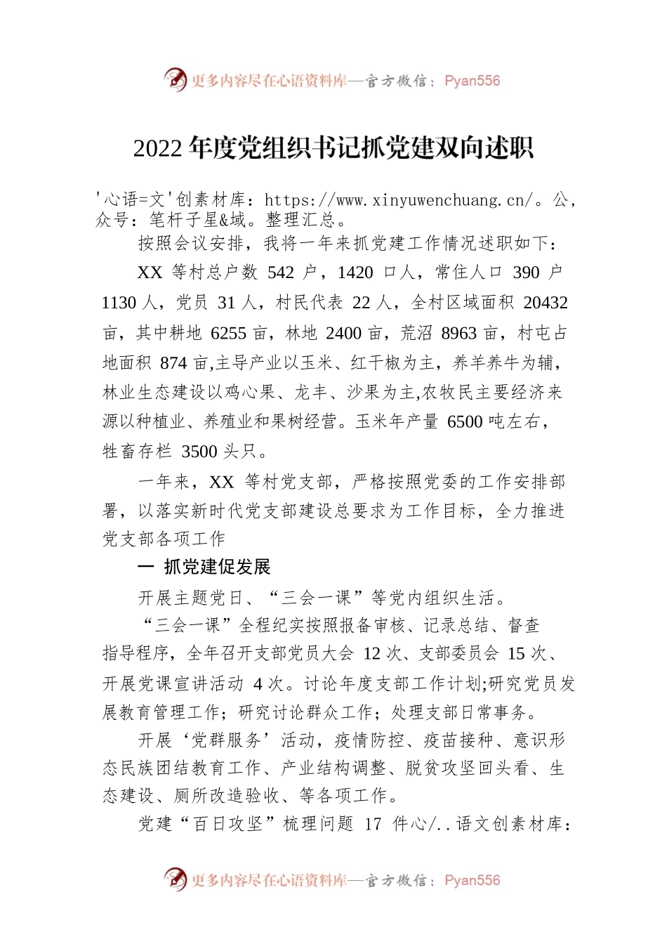 2022年度党组织书记抓党建双向述职.docx_第1页