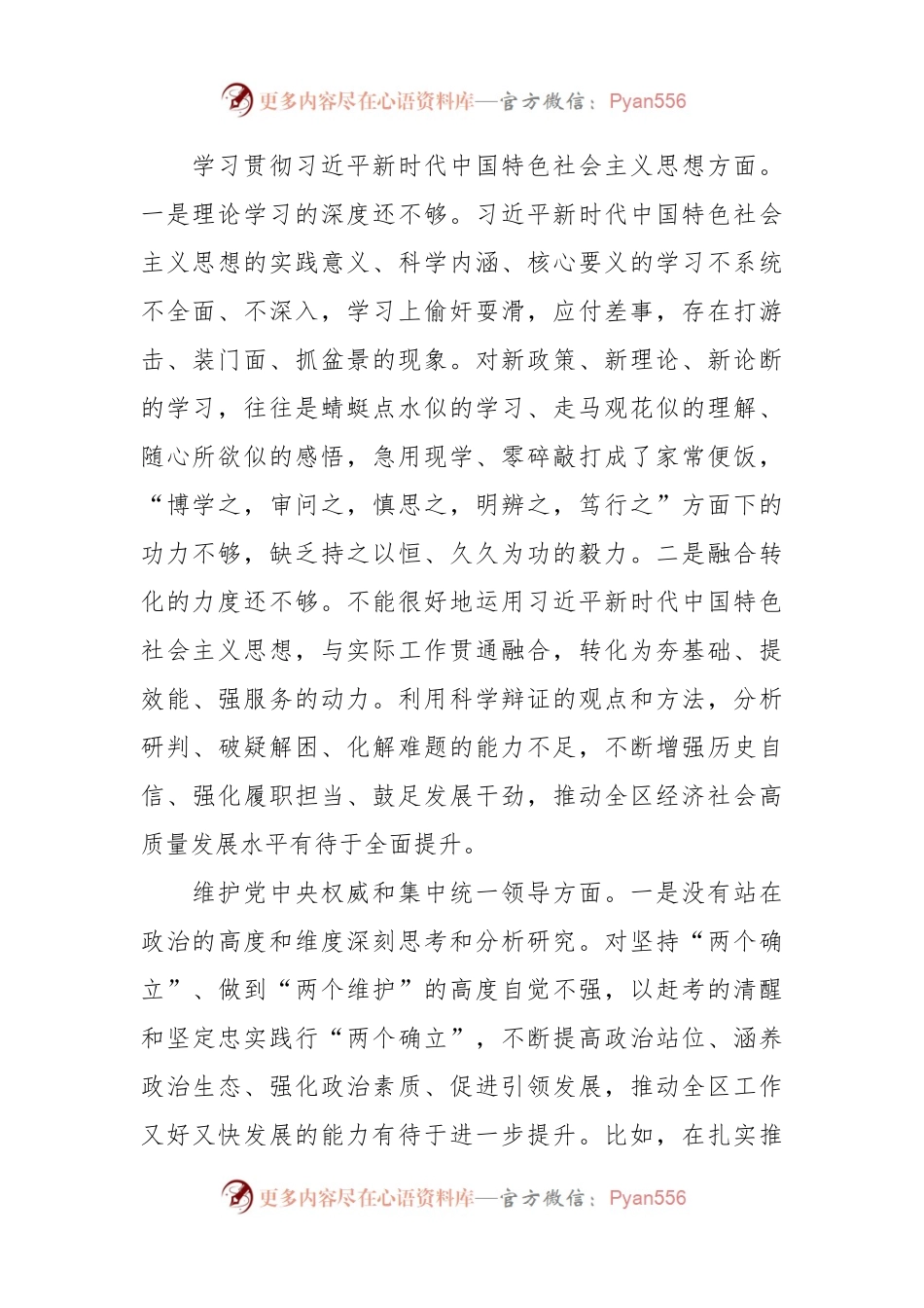 2023年主题教育专题民主生活会个人对照检查 区委办主任（践行宗旨等6个方面+案例剖析+上年度整改+个人事项）.docx_第2页