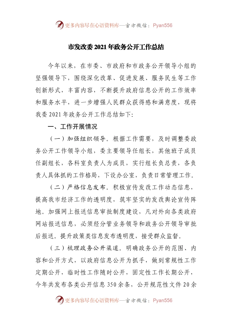 2021年政务公开工作总结.docx_第1页
