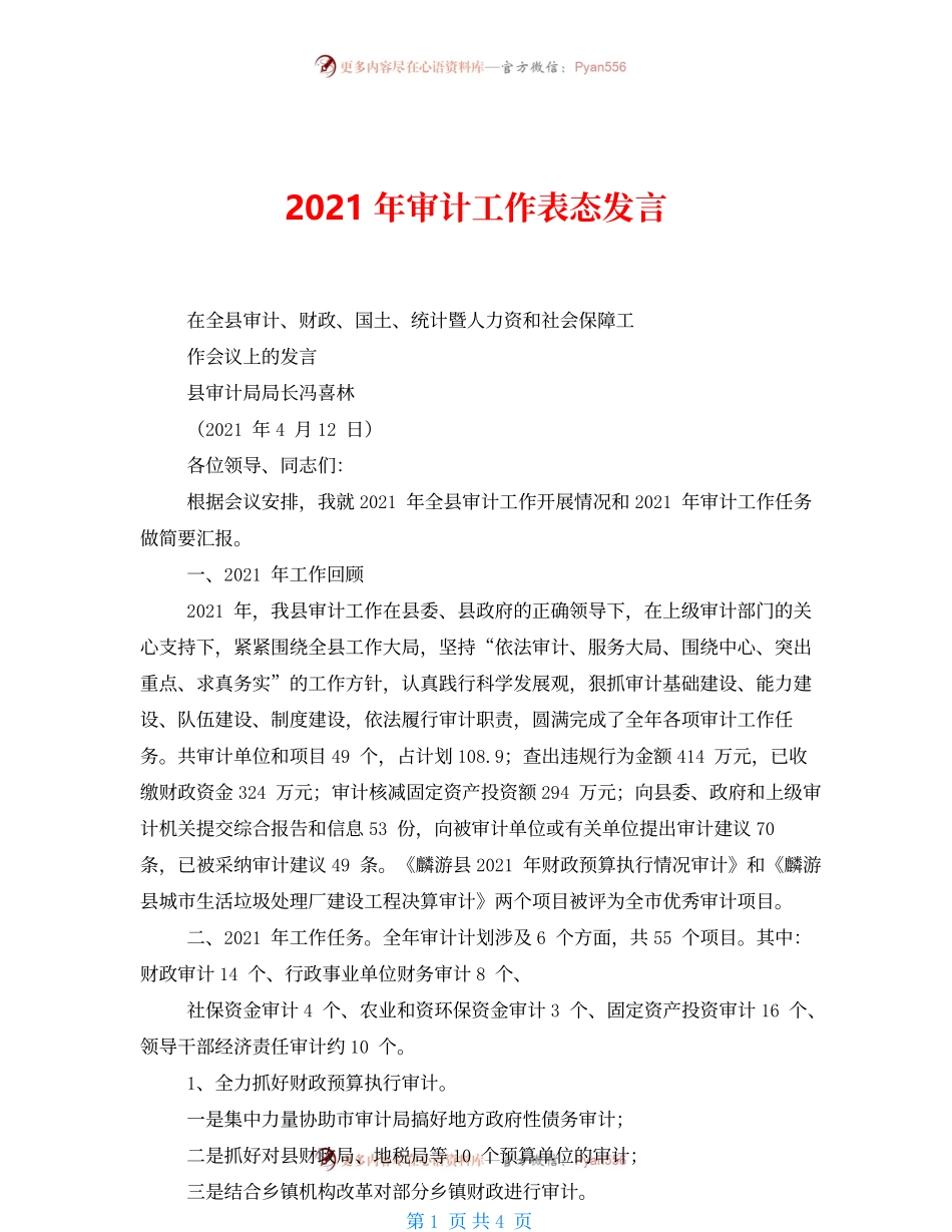 2021年审计工作表态发言.docx_第1页
