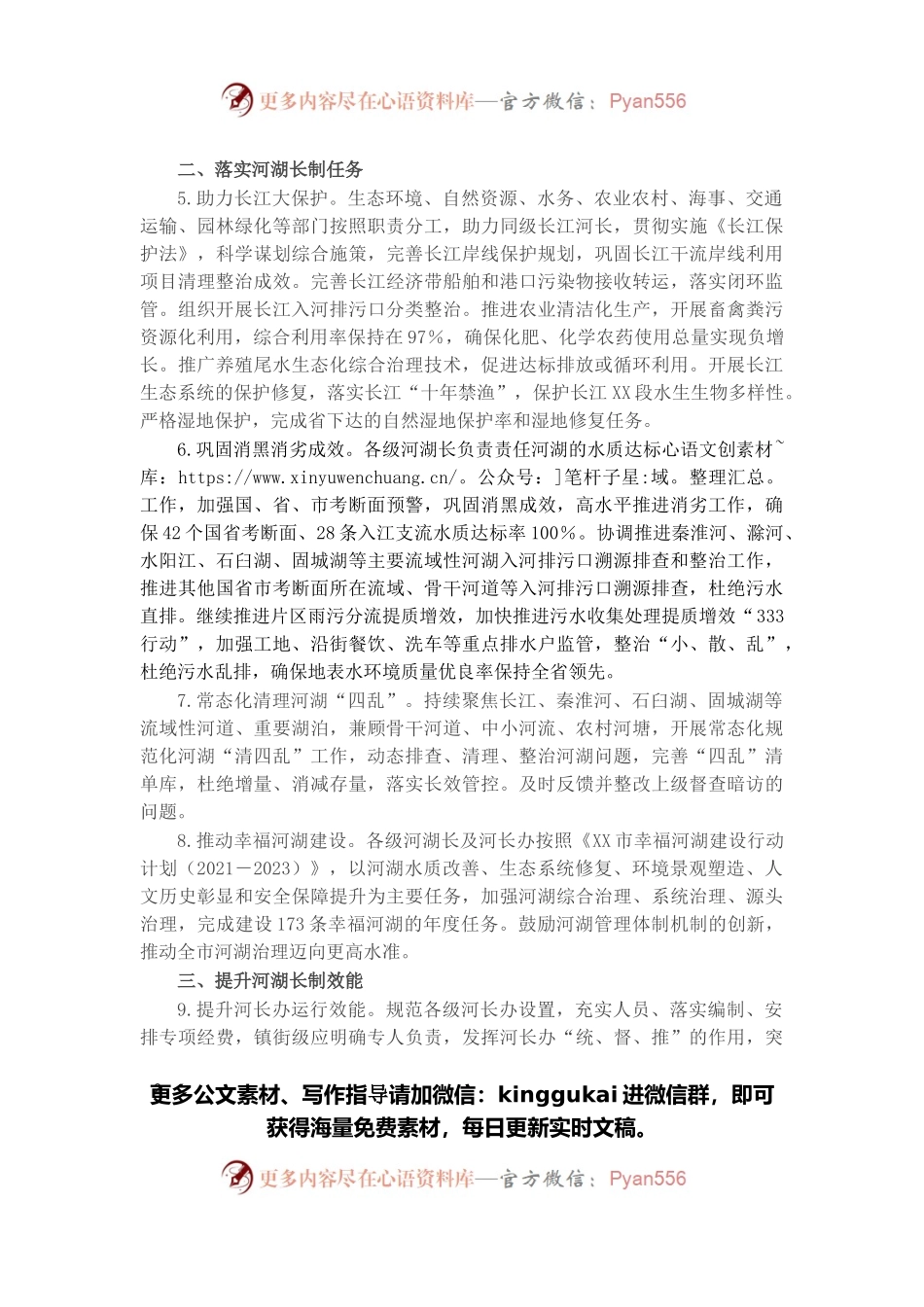 2022年度X市河湖长制工作要点.docx_第2页