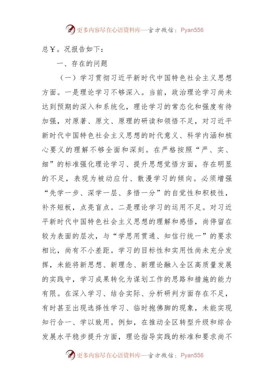 2023年主题教育专题民主生活会个人对照检查 区委副书记（践行宗旨等6个方面+案例剖析+上年度整改+个人事项）.docx_第2页
