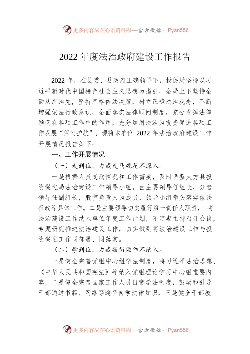 2022年度法治政府建设工作报告（20230227）.docx_第1页