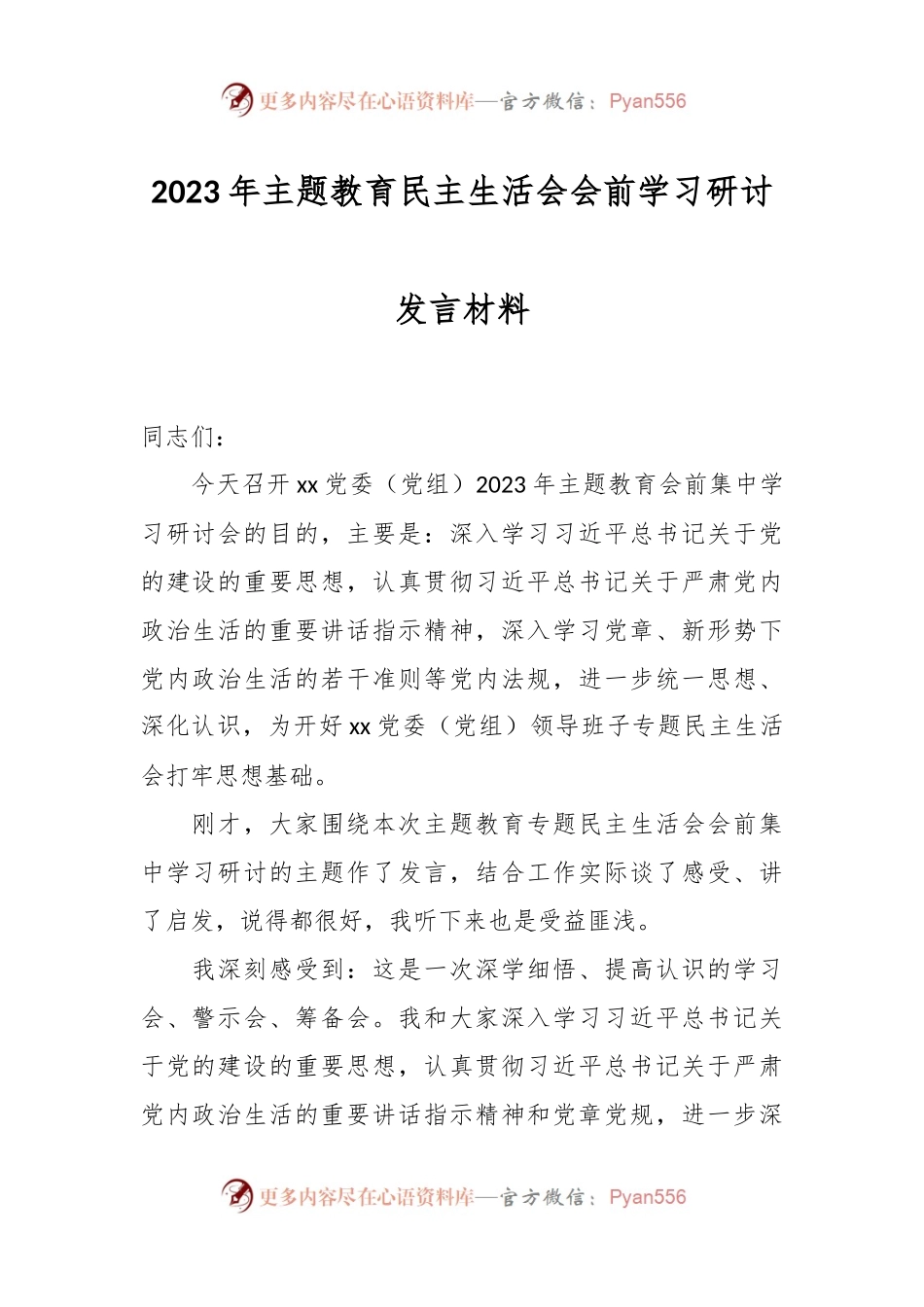 2023年主题教育民主生活会会前学习研讨发言稿材料.docx_第1页