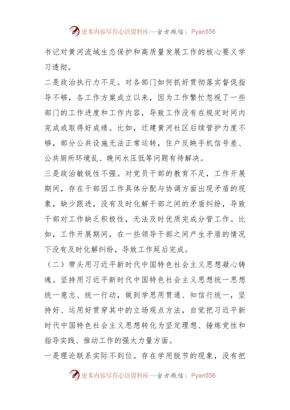 2022年度民主生活会镇长对照检查材料.docx_第2页