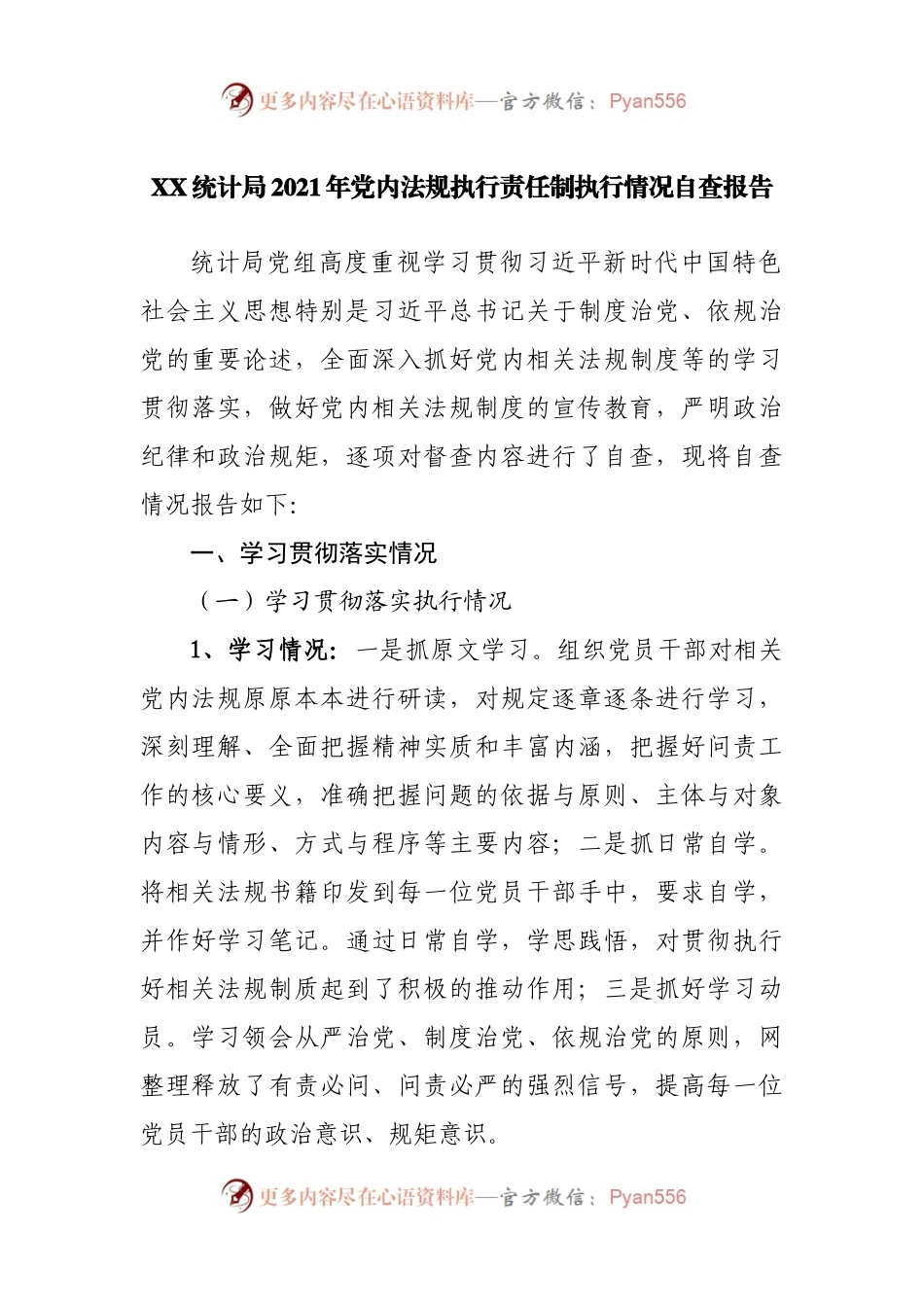 2021年党内法规执行责任制执行情况自查报告.docx_第1页