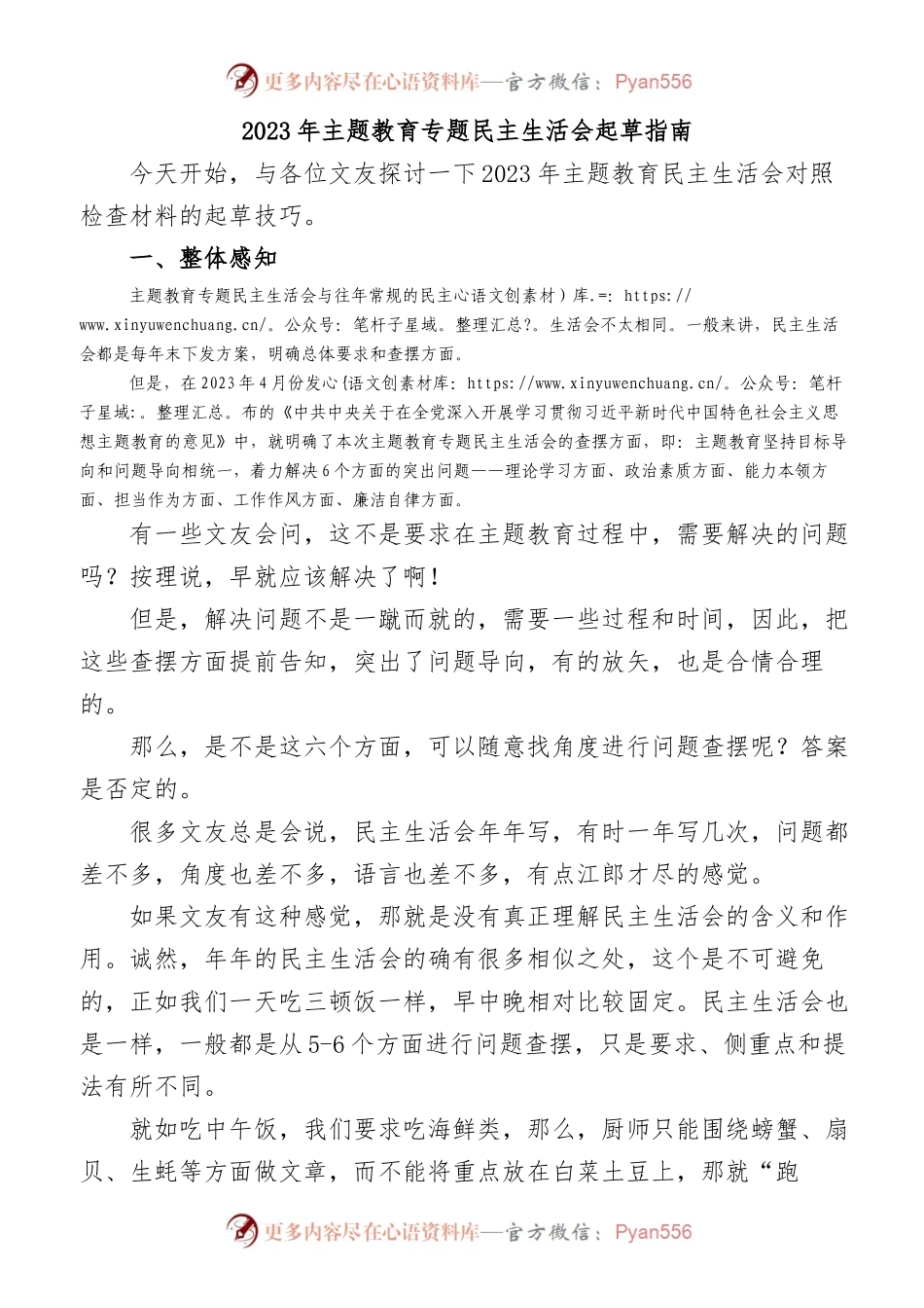 2023年主题教育专题民主生活会起草指南报告.docx_第1页