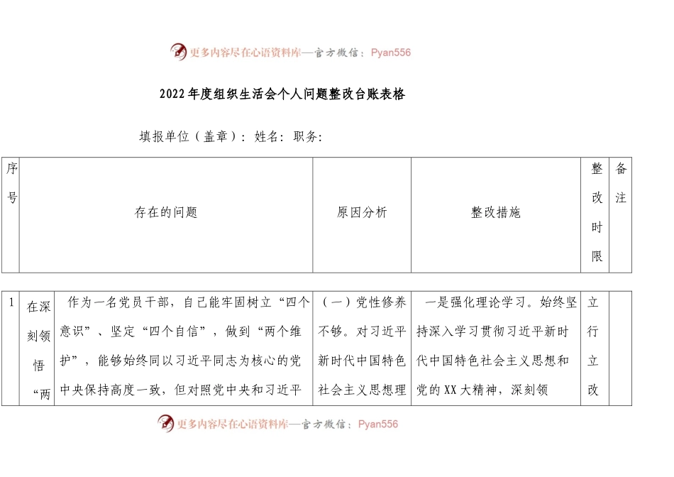 2022 年度组织生活会个人问题整改台账表格.docx_第1页