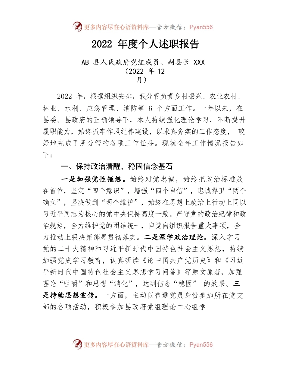 2022年度个人述职报告（副县长）.docx_第1页