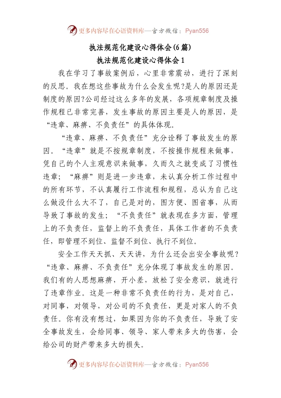 (6篇)执法规范化建设心得体会.docx_第1页