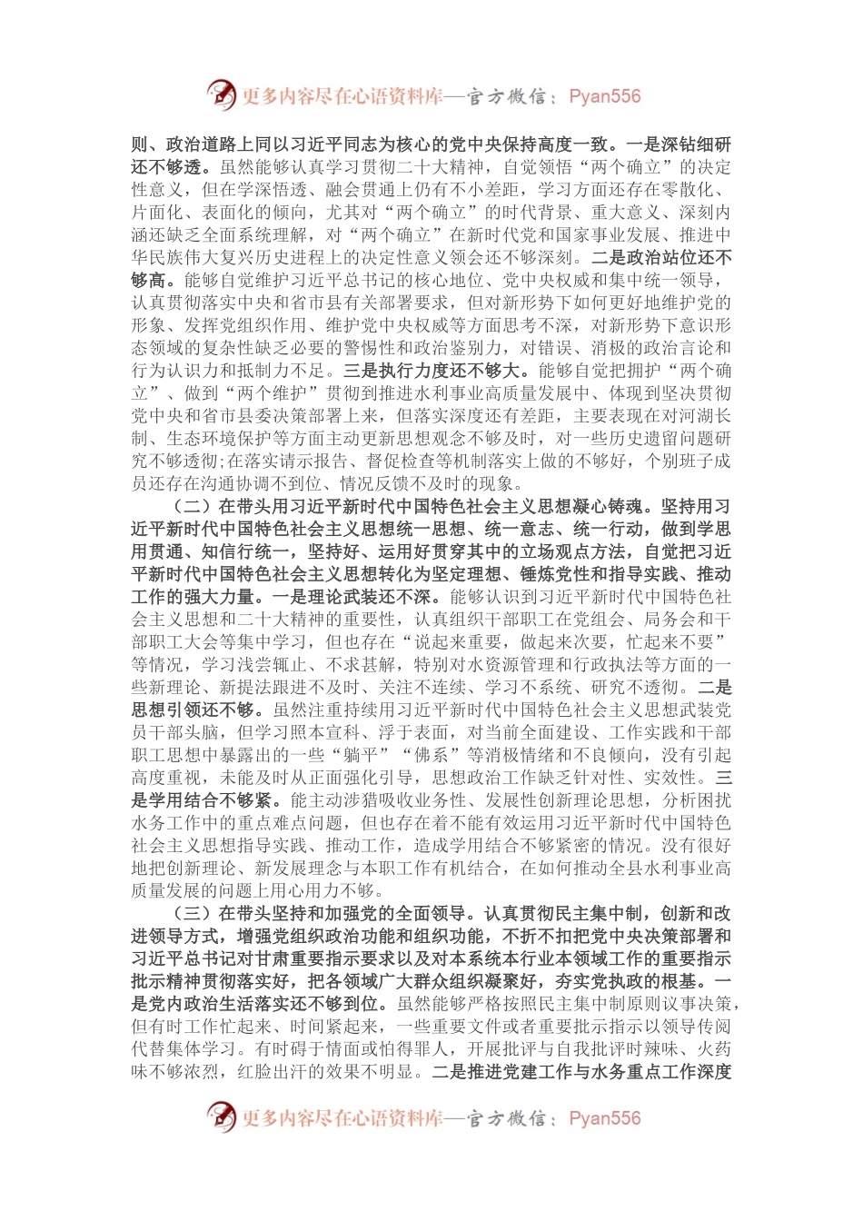 2022年度民主生活会对照检查提纲(班子).docx_第2页