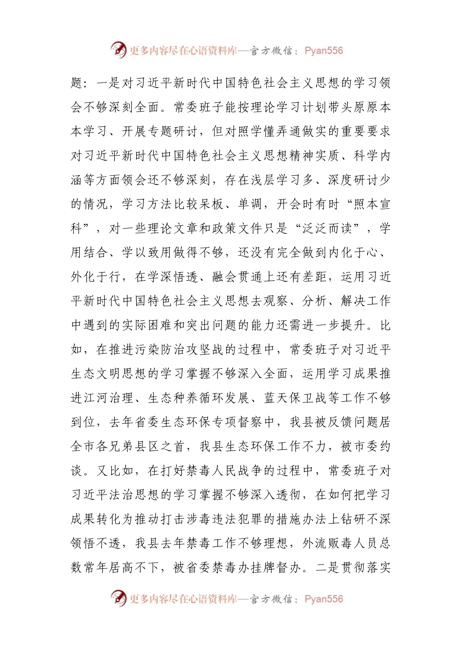 101班子2021年专题民主生活会对照检查材料（县）.docx_第2页
