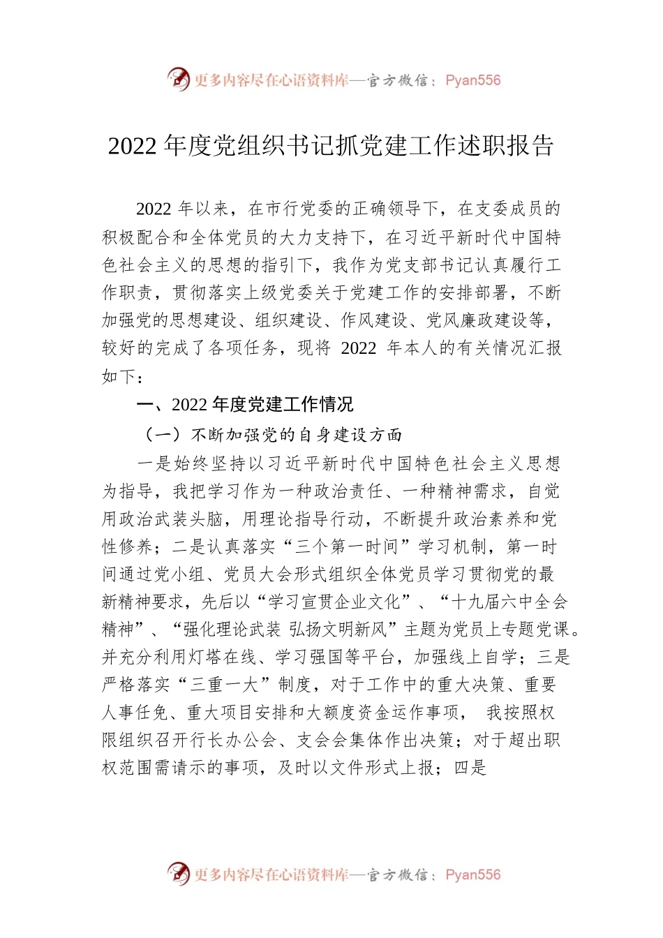 2022年度党组织书记抓党建工作述职报告.docx_第1页