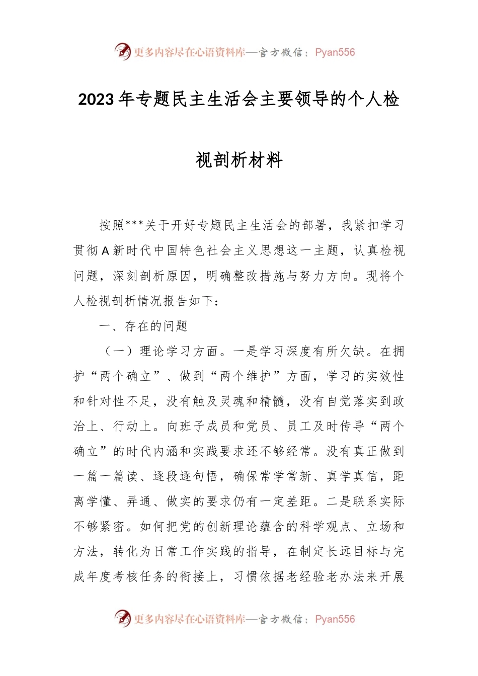 2023年专题民主生活会主要领导的个人检视剖析材料.docx_第1页