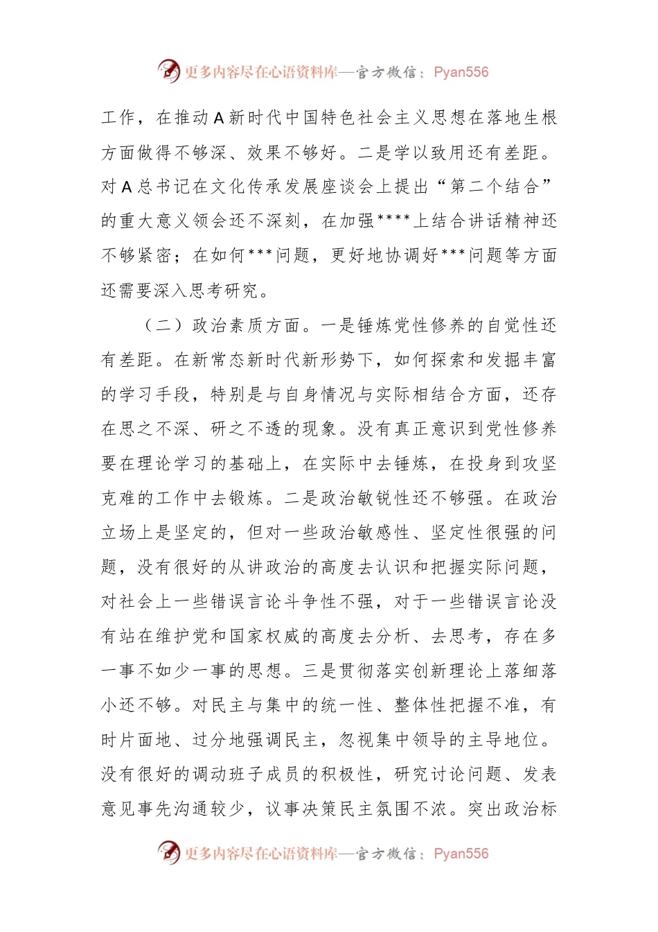 2023年专题民主生活会主要领导的个人检视剖析材料.docx_第2页