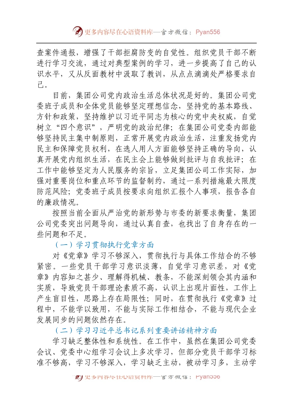 2021公司党建自查报告.docx_第2页