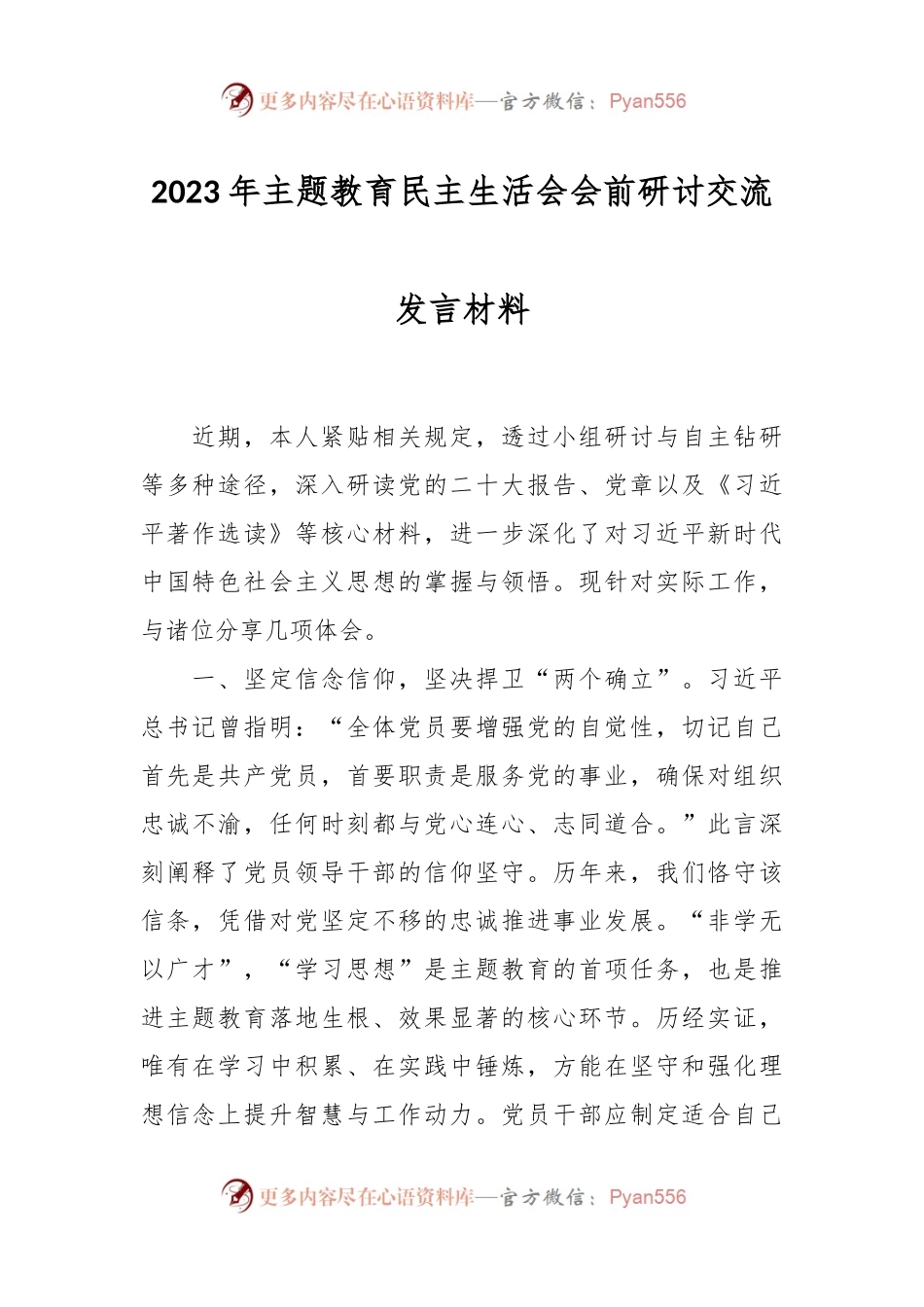 2023年主题教育民主生活会会前研讨交流发言稿材料.docx_第1页