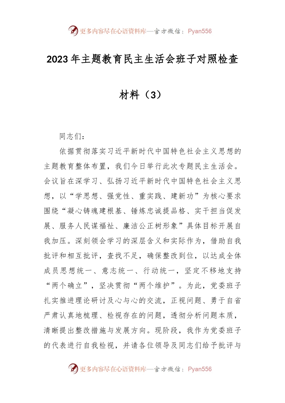 2023年主题教育民主生活会班子对照检查材料（3）.docx_第1页