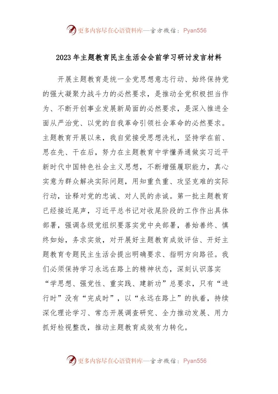 2023年主题教育民主生活会会前学习研讨发言稿材料 (2).docx_第1页