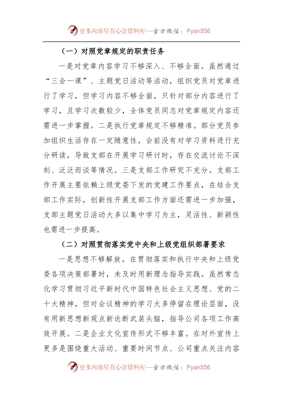 (2篇)XX公司党支部委员国企党员干部会年度组织生活会对照检查材料.docx_第2页