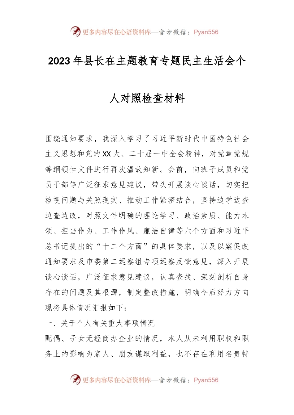 2023年县长在主题教育专题民主生活会个人对照检查材料.docx_第1页