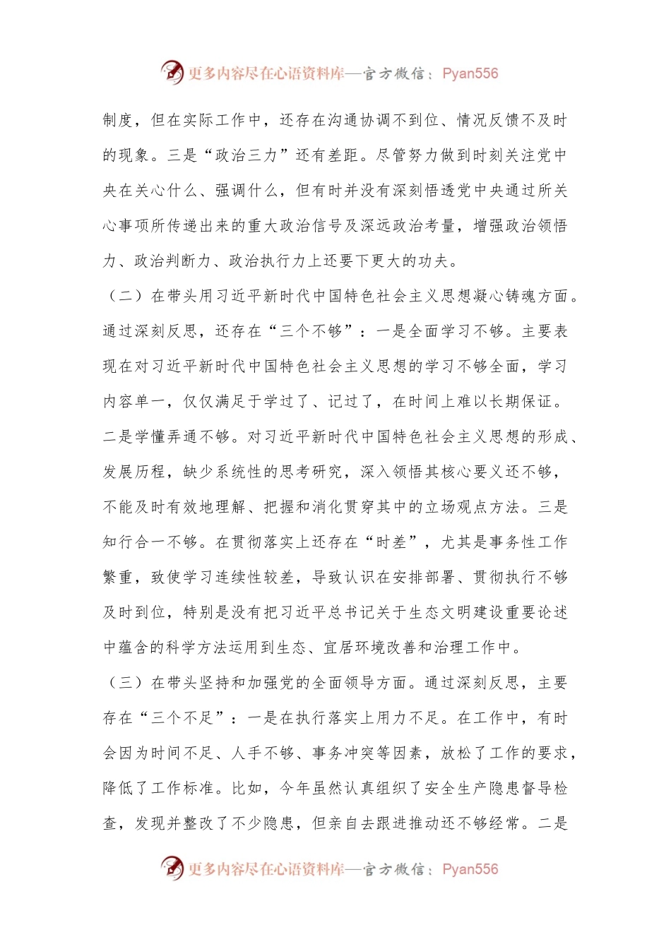 2022年度党员干部个人民主生活会发言材料（全文4491字）.docx_第2页