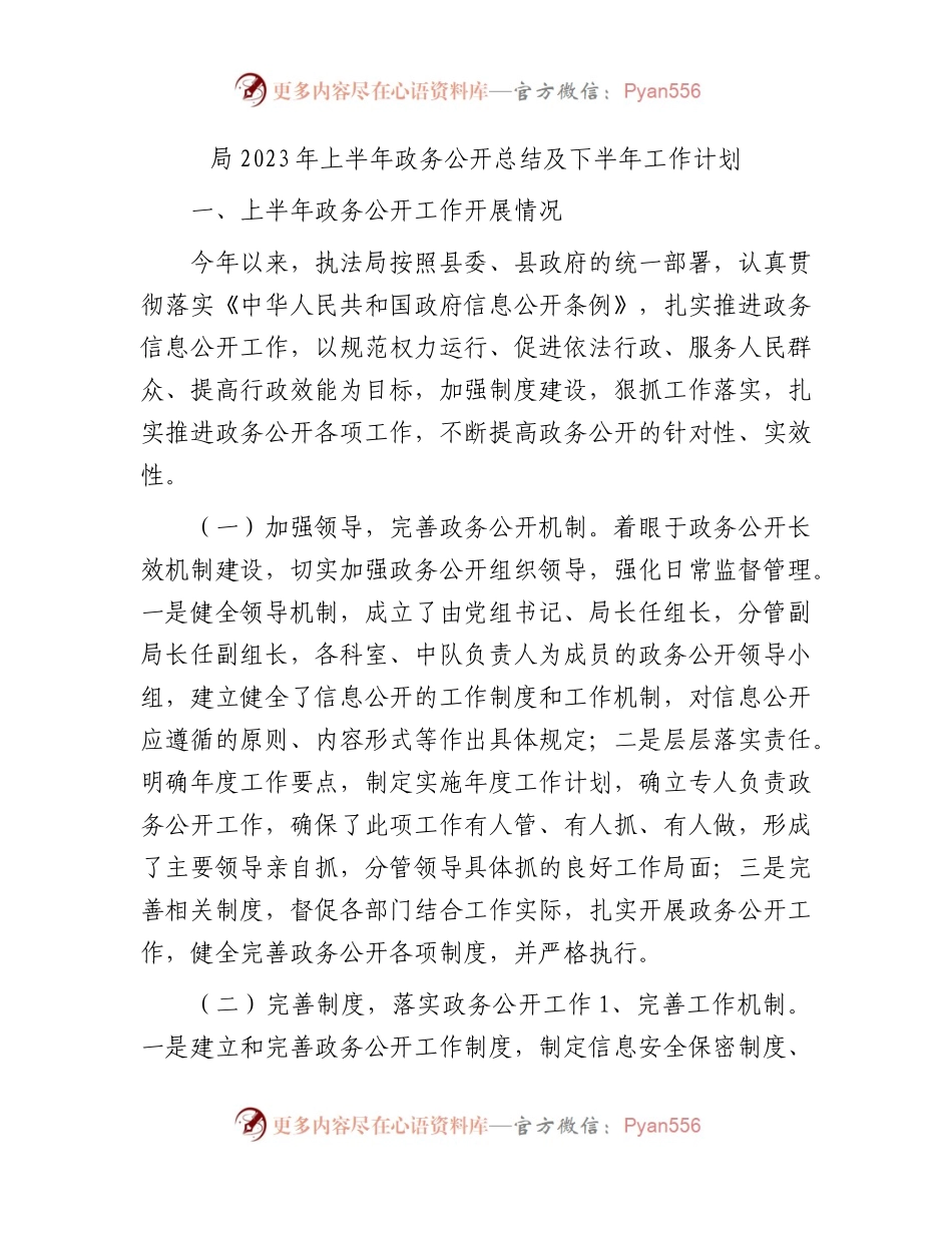 2023年上半年政务公开总结及下半年工作计划.docx_第1页