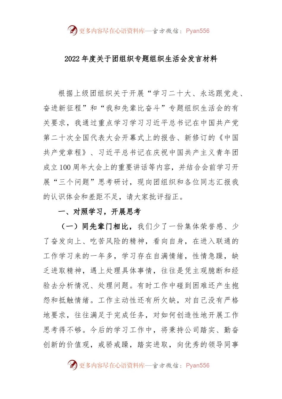 2022年度关于团组织专题组织生活会发言材料.docx_第1页