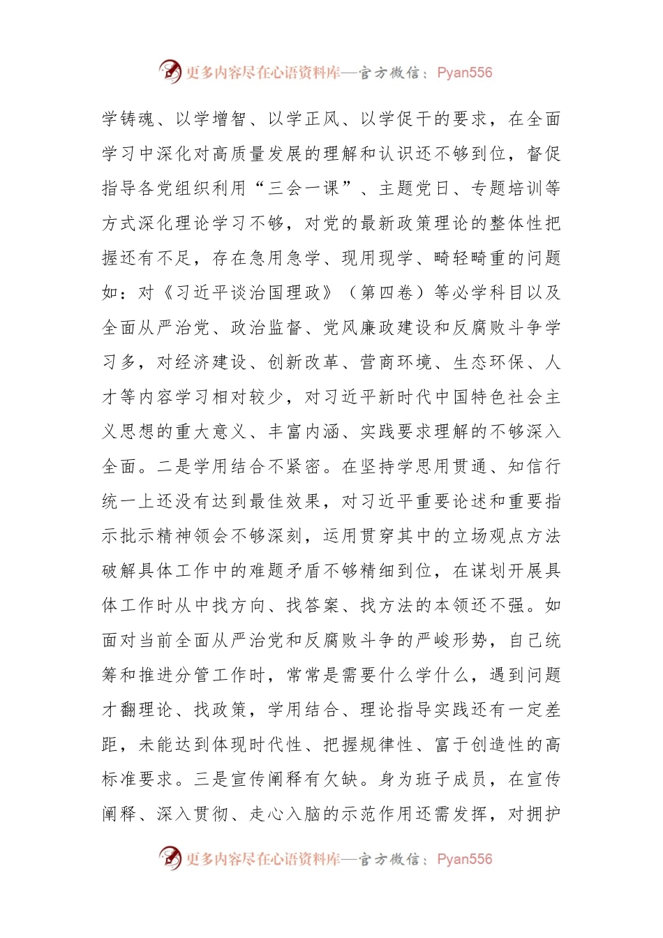 2023年主题教育民主生活会领导干部个人的发言提纲.docx_第2页