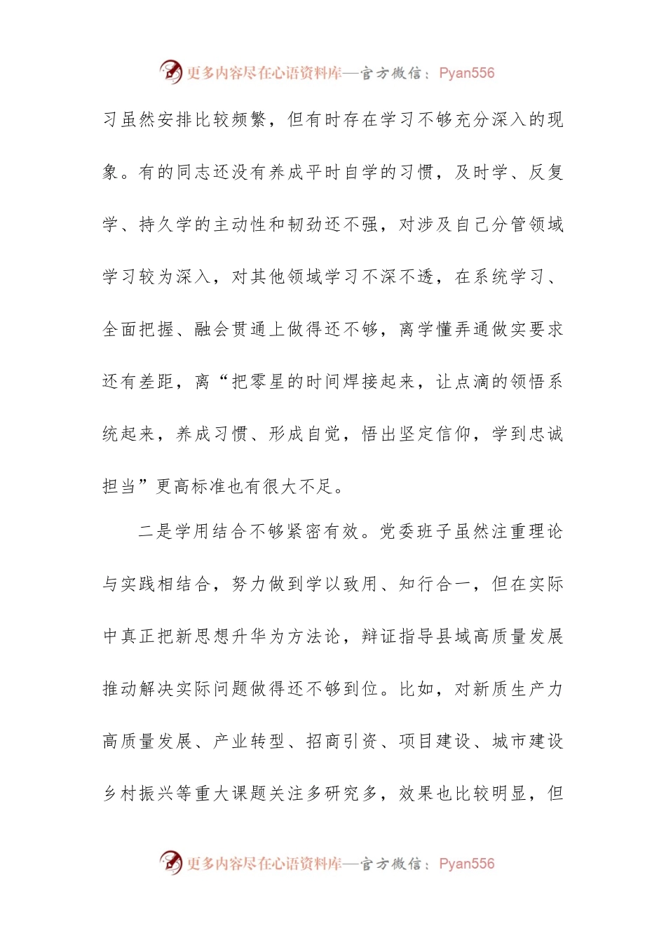 (新版)2023年第二批主题教育专题民主生活会党委（党组）领导班子对照检查材料.docx_第2页