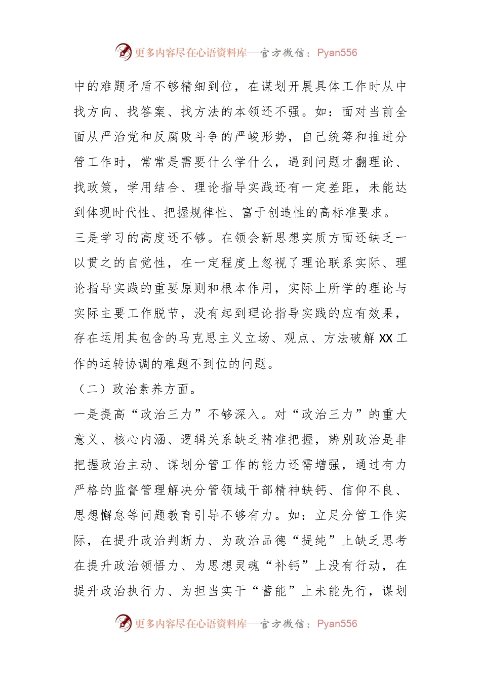 2023年主题教育民主生活会领导干部个人对照 检查发言提纲.docx_第2页