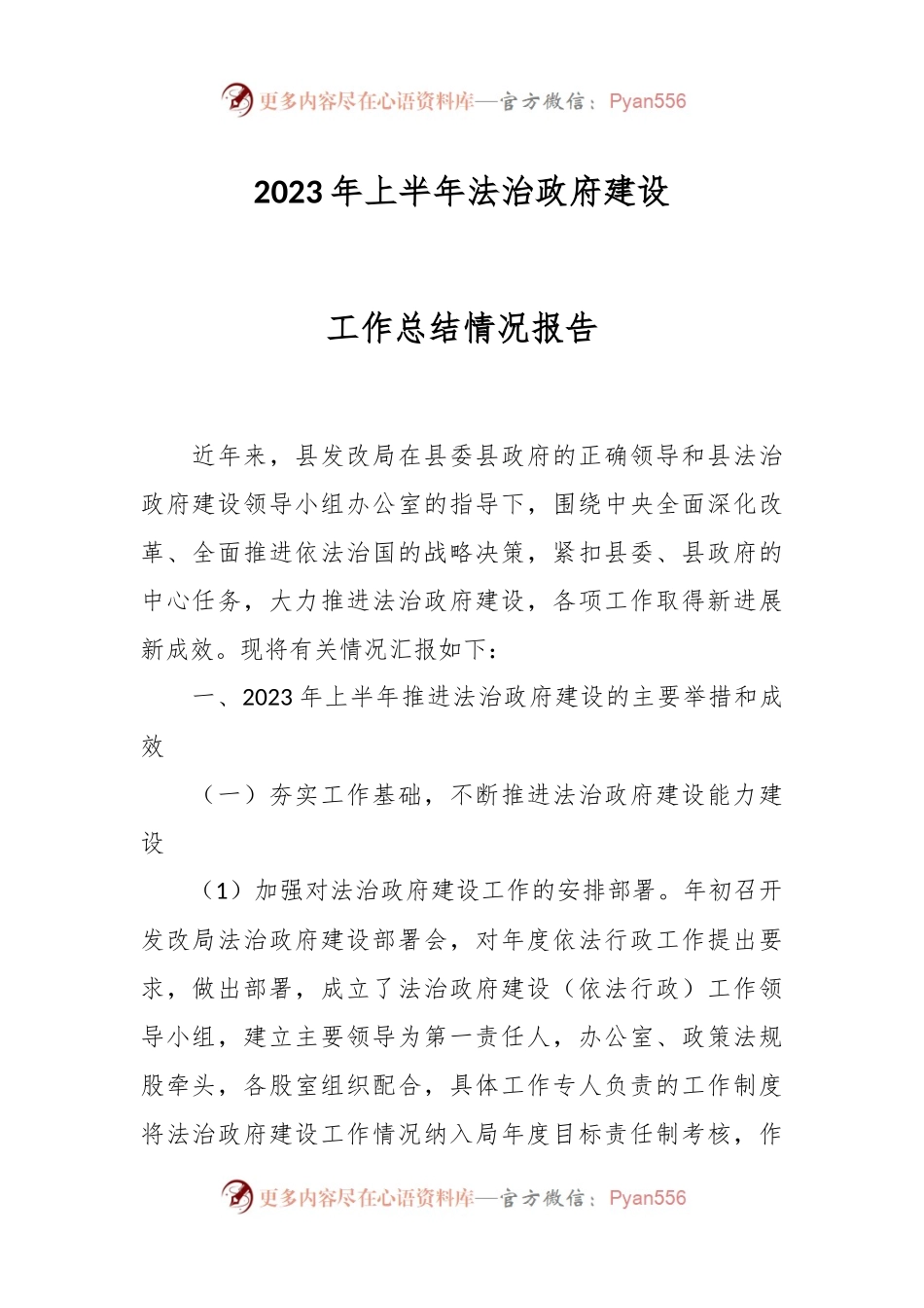 2023年上半年法治政府建设工作总结情况报告.docx_第1页