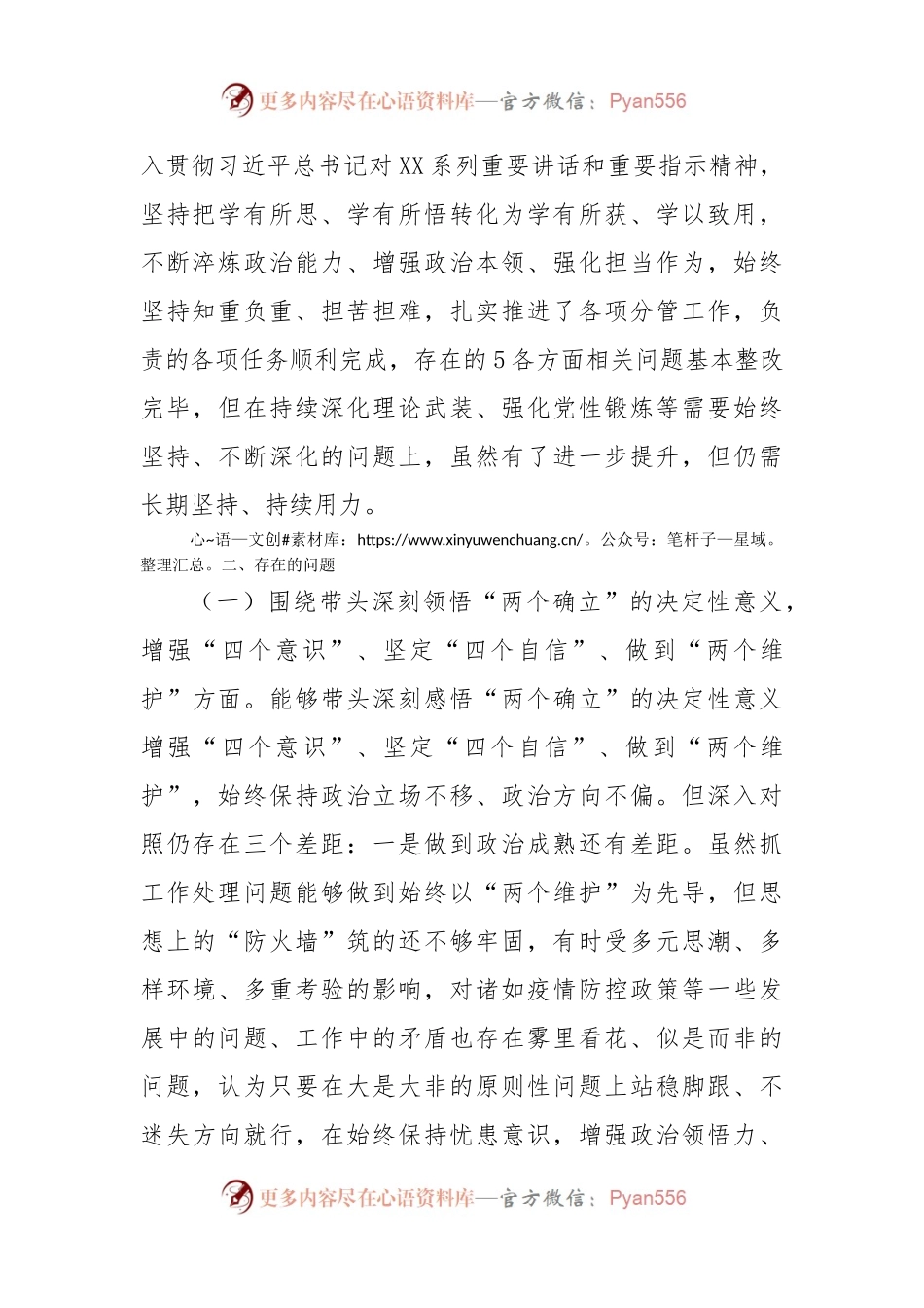 2022年度班子成员民主生活会个人对照检查材料提纲.docx_第2页