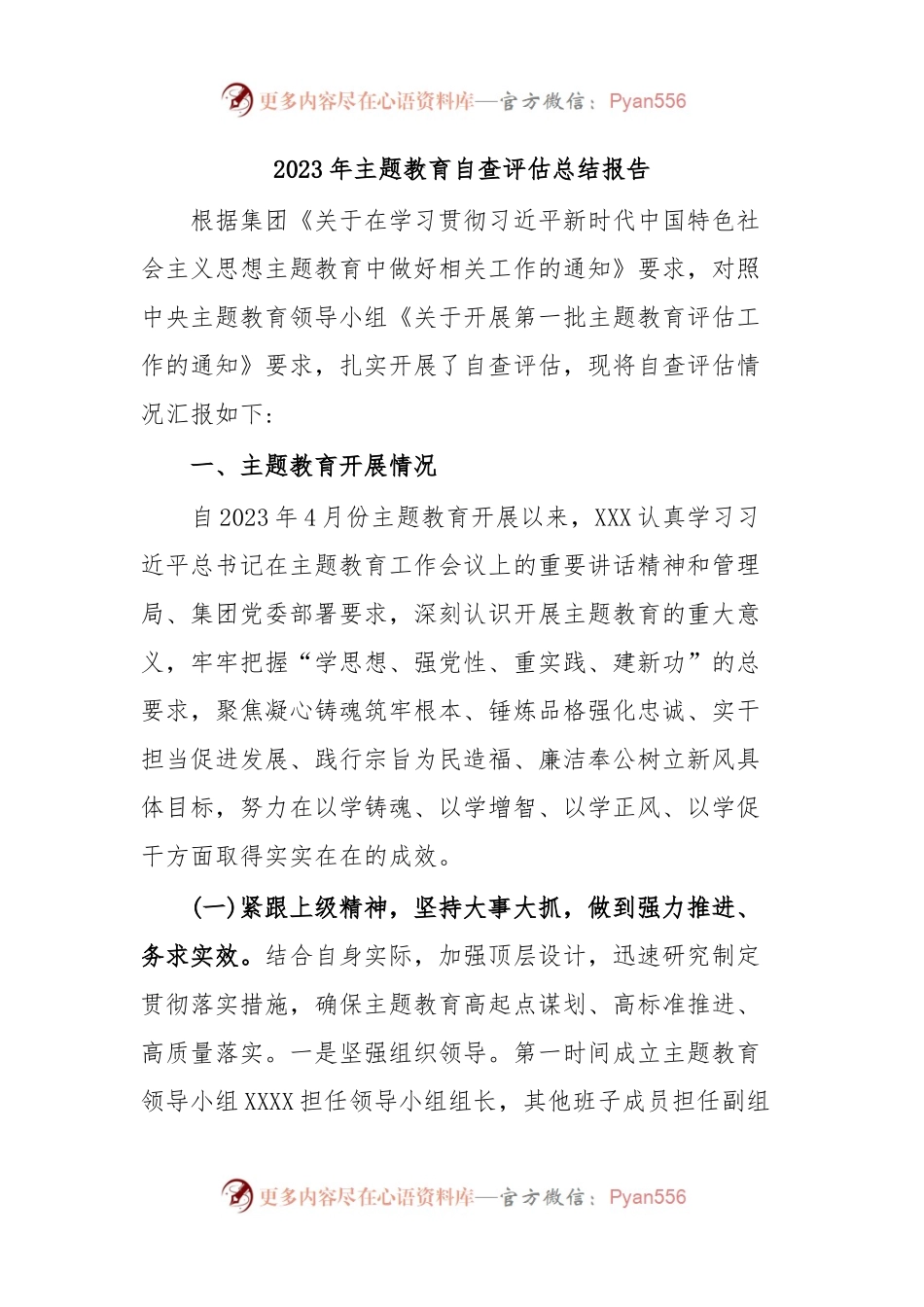 2023年主题教育自查评估总结报告.docx_第1页