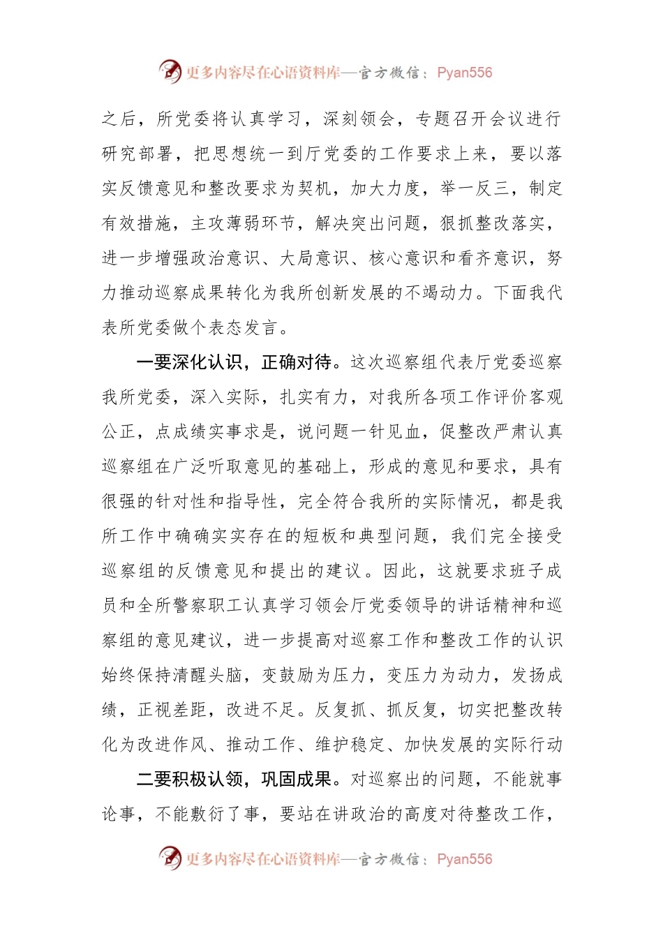 02—在巡视反馈会上的表态发言.docx_第2页