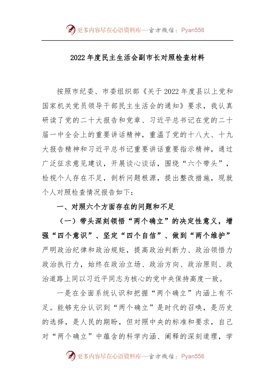 2022年度民主生活会副市长对照检查材料.docx_第1页